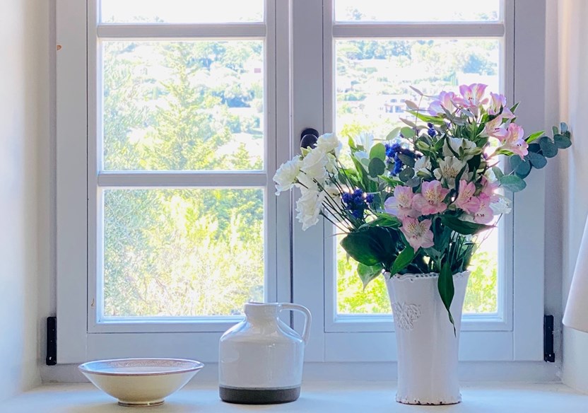Flowers sitting by the window of a residential let